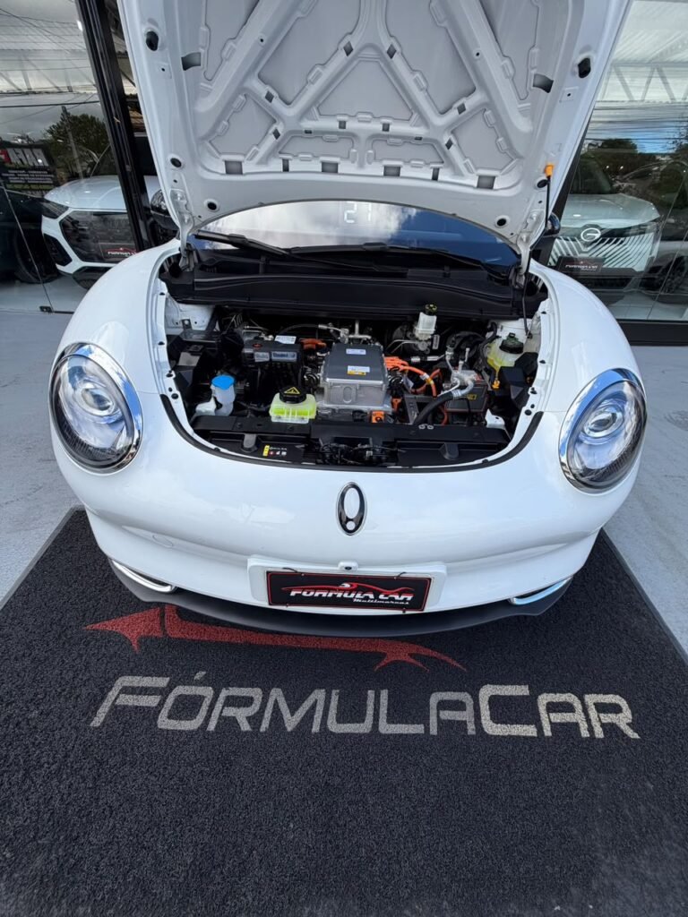 ora-03-eletrico-branco-caxias-do-sul-formula-car-06